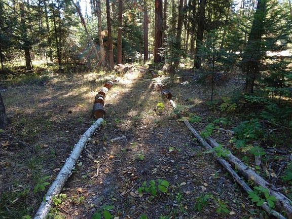 EASY TRAIL - WALK THE 1.5 AC