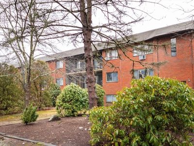 22 Faxon St APT 2, Stoughton, MA, 02072