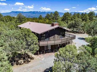 112 Lupine Ln, Ridgway, CO 81432