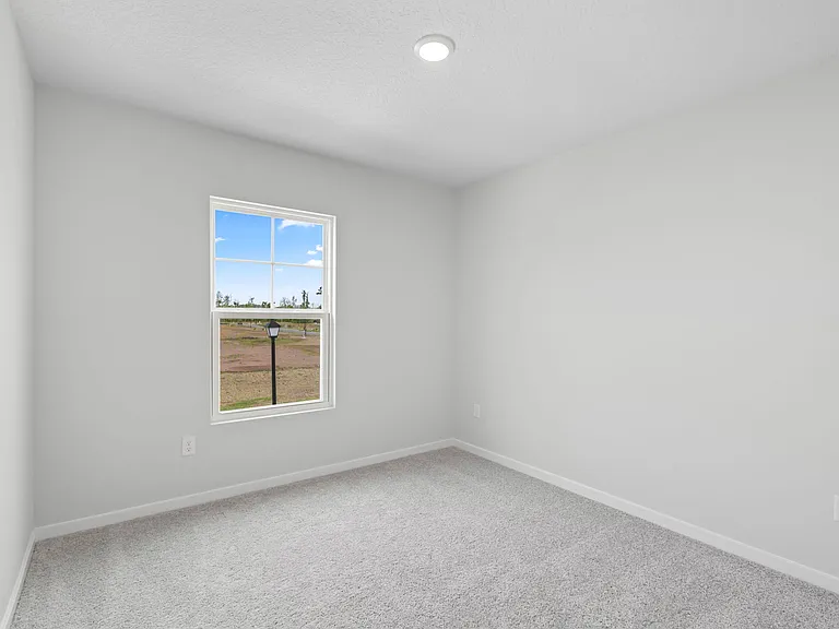 111 Brazil Nut Cir — Photo 12