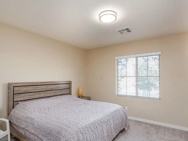 2859 Shining Sun Way — Photo 18
