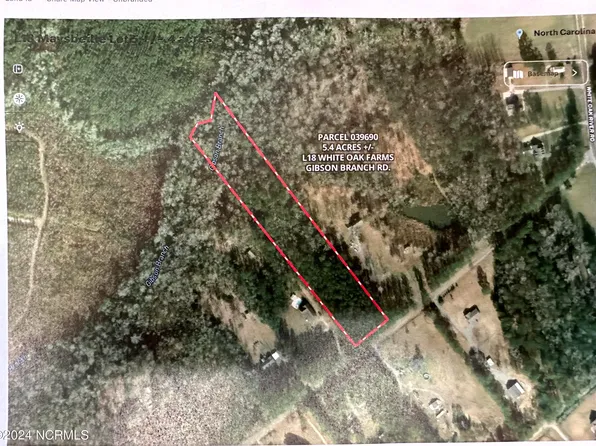L18 Gibson Branch Road, Maysville, NC 28555