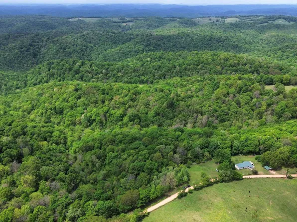 104A Williamson Switch, Guion, AR 72540