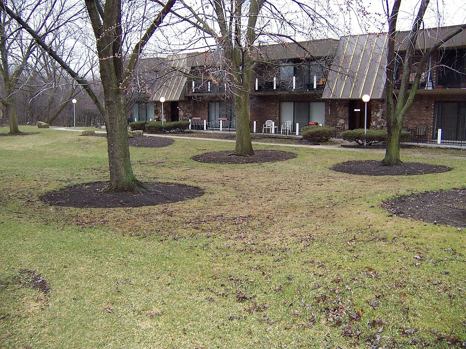 Wooded Lot with Deer