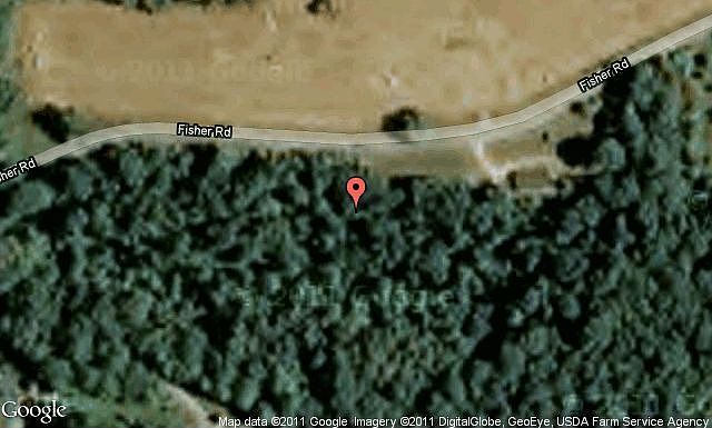 Map View