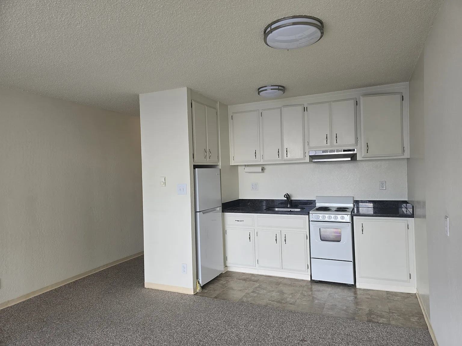 1257 Bush Street — Photo 4