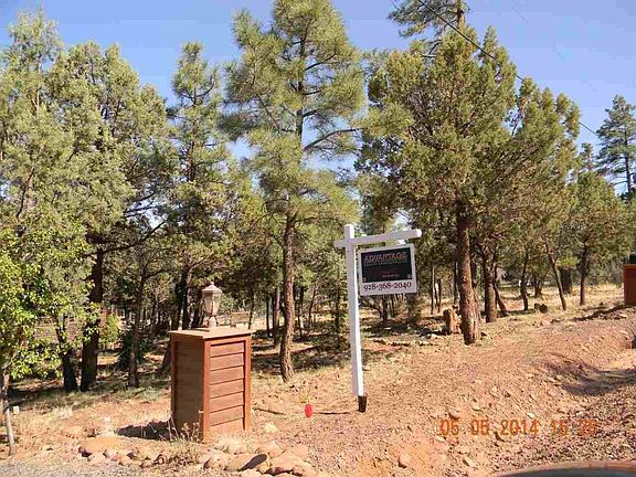 4th image of 3059 Pine Needle Dr