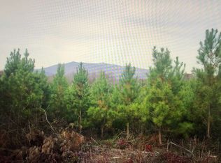 25 Fox Paw Leaf Ln, Ellijay, GA 30536