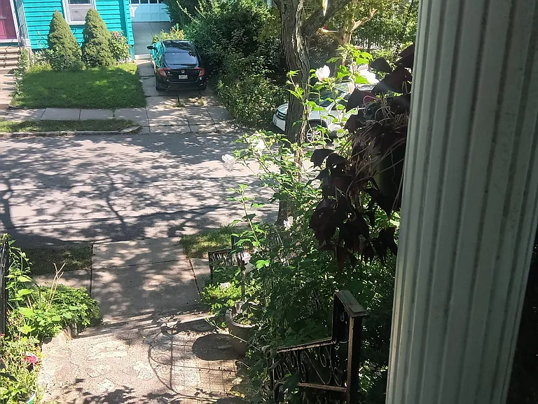 27 Ogden St #2 — Photo 83