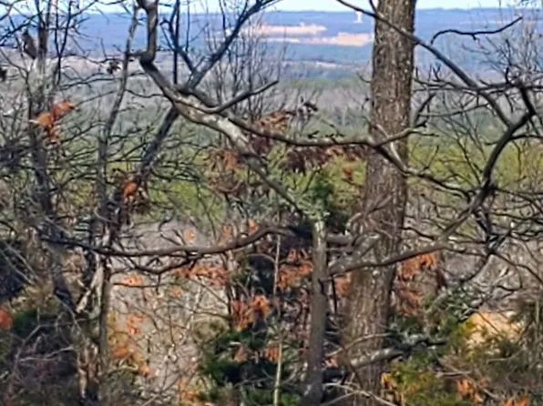 (undisclosed Address), Mountain View, AR 72560
