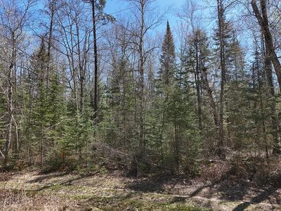 2XX S Lake Lawrence Rd NE, Outing, MN, 56662