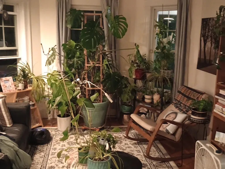 7 Lewis St #1 — Photo 4