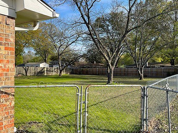 Pecan trees
