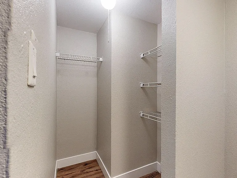 South Forest — Photo 13