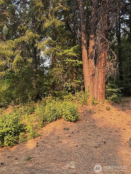 2nd image of 0 Little Chumstick Creek Rd