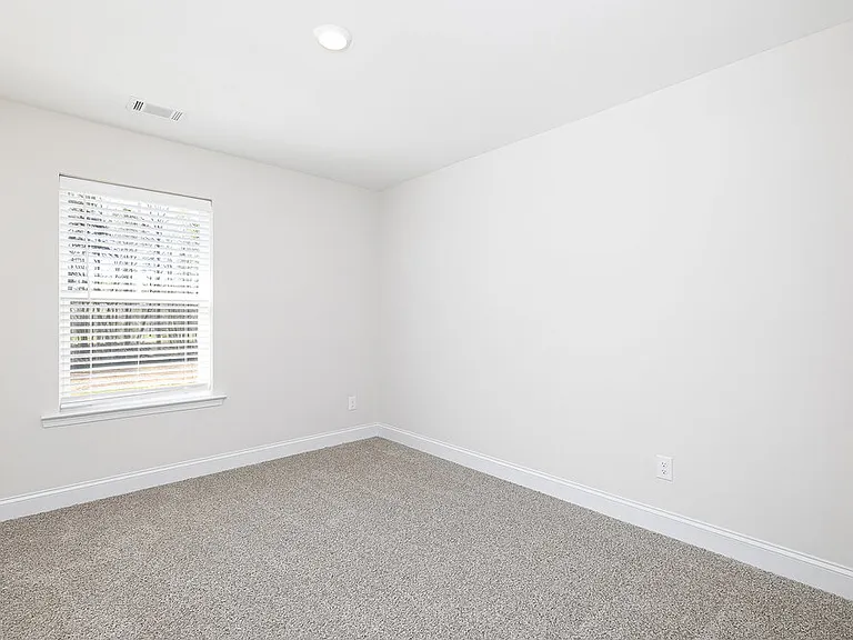 116 Cantrell Path — Photo 11