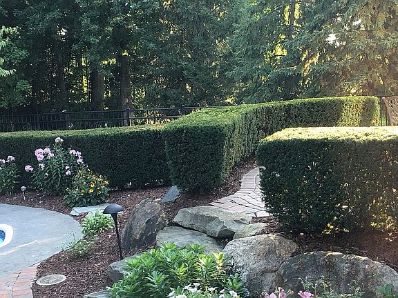 4th image of 14933 Shady Ln