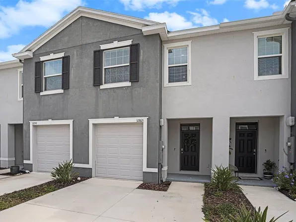 32803 Pez Landing Ln, Wesley Chapel, FL 33543