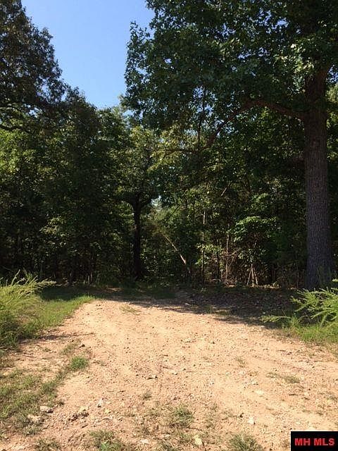 1st image of Brushy Knob Trl