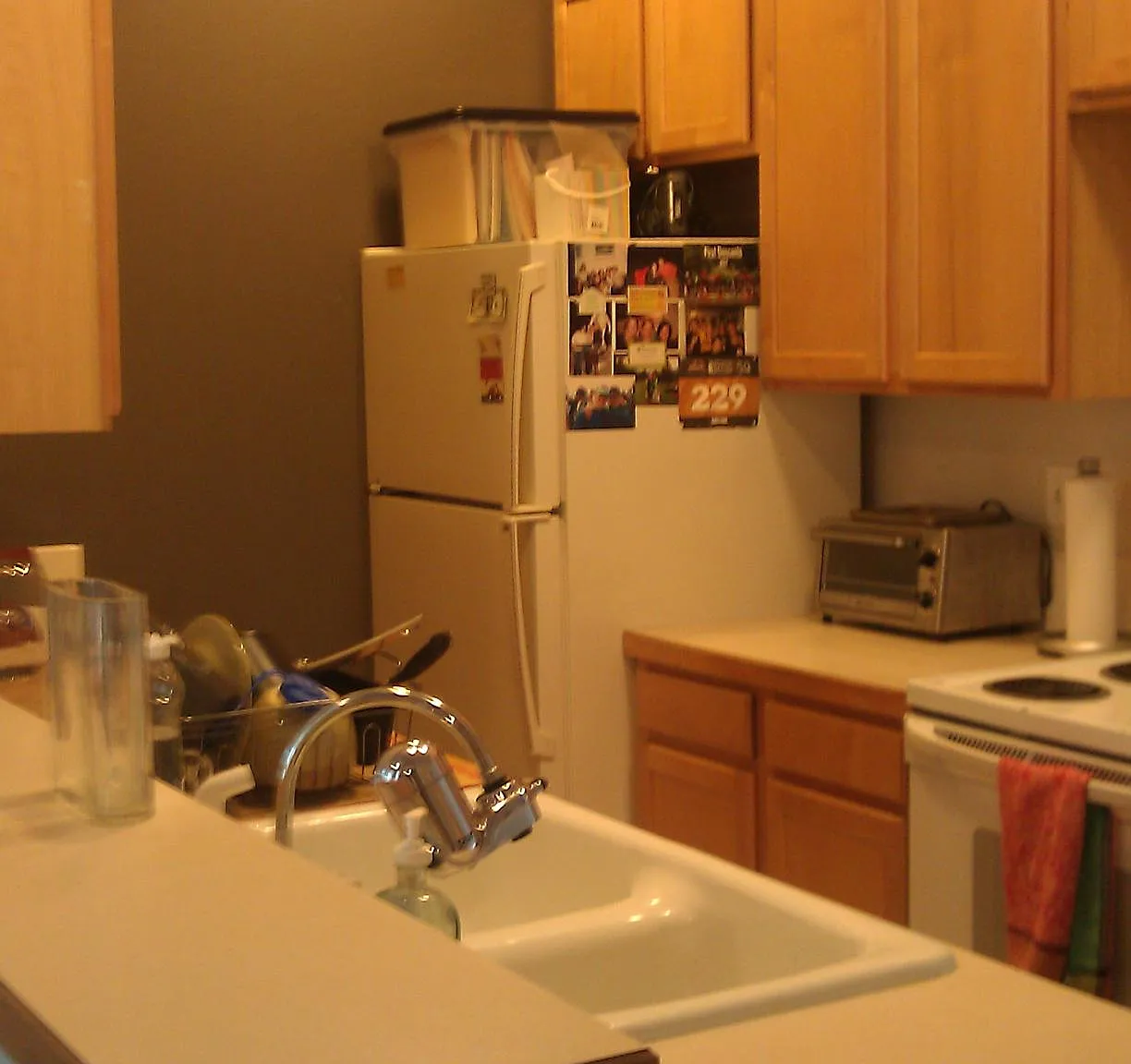 1 bed, 750 sqft, $1,950 — Photo 1
