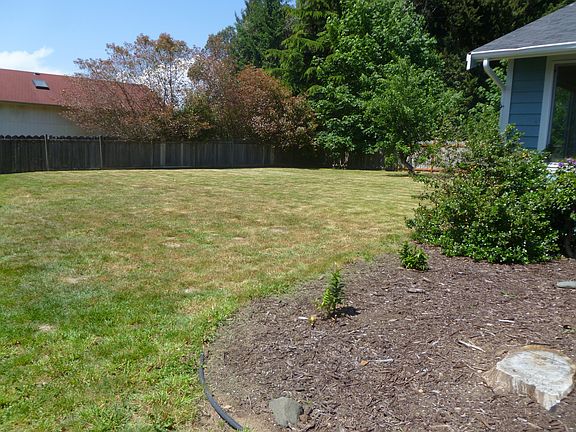 large backyard