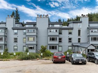 9366 Fall River Rd UNIT 203, Idaho Springs, CO 80452