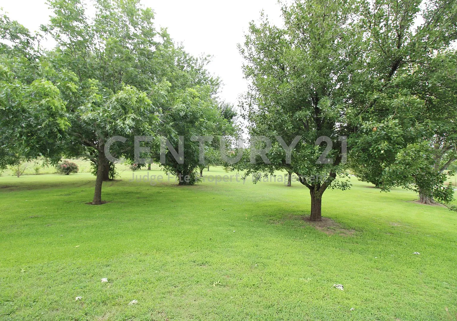 Grand Two-Story, 3/3.5 Victorian Retreat Situated on 2 + Acres in Waxahachie For Rent! — Photo 3