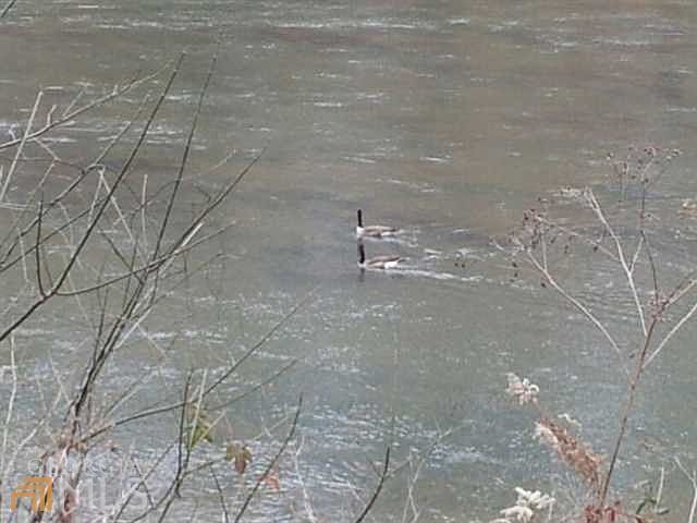 2nd image of 3979 Paces Ferry Dr SE