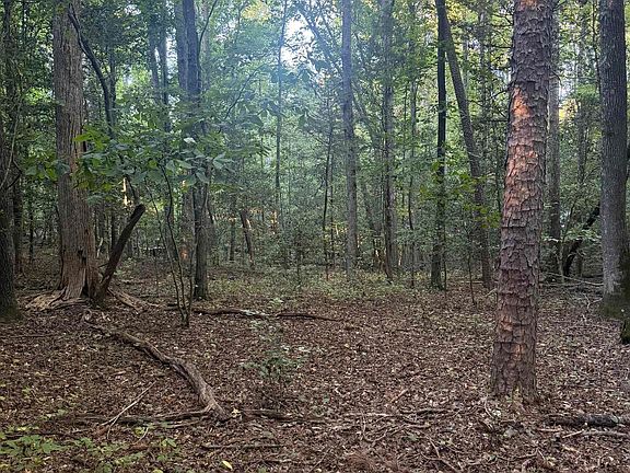 3rd image of 627 Daventon Rd