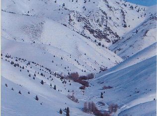 300 Red Elephant Gulch Rd, Hailey, ID 83333