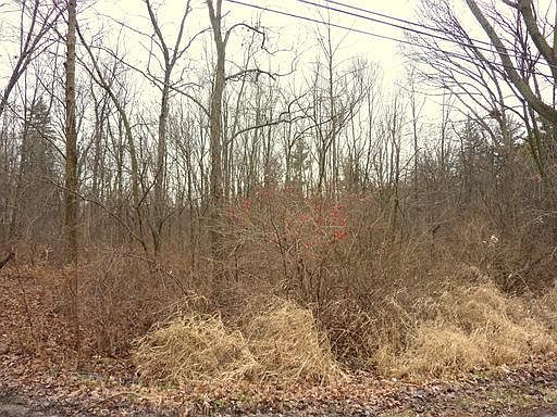 5th image of 7833 123rd Pl