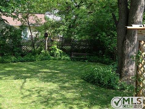 BACKYARD.JPG