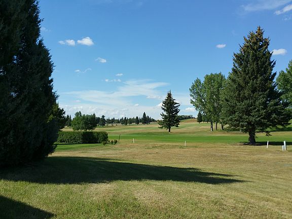 Back yard / golf course