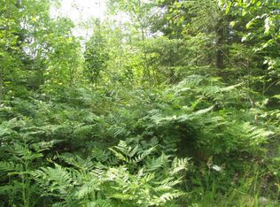 S U S 23 Hwy, Presque Isle, MI 49777