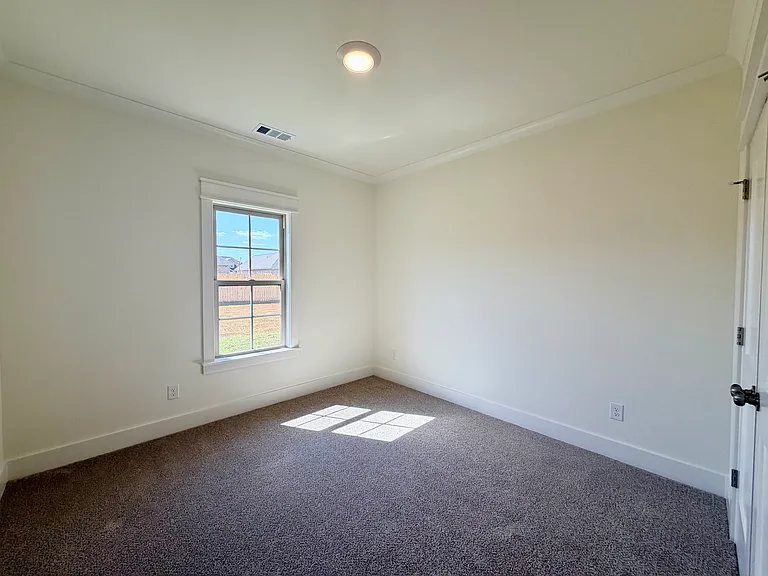 513 Bristleleaf Path — Photo 19