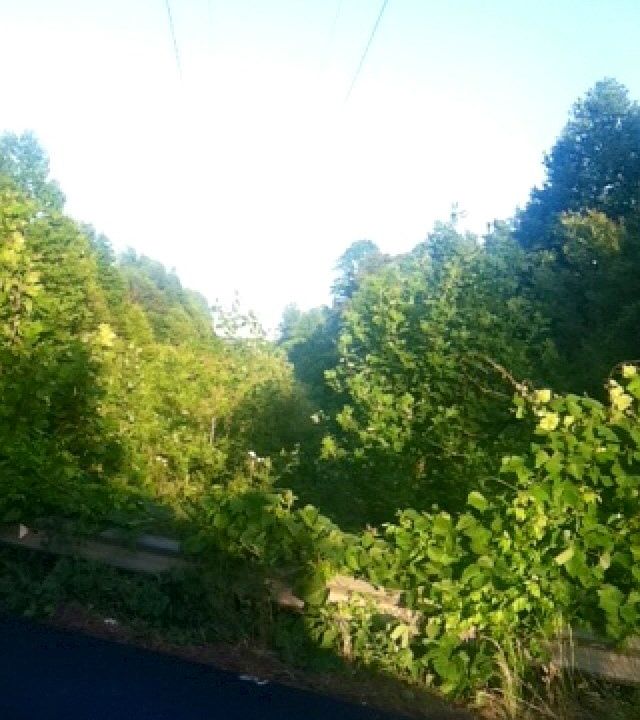 2nd image of Us Highway 64