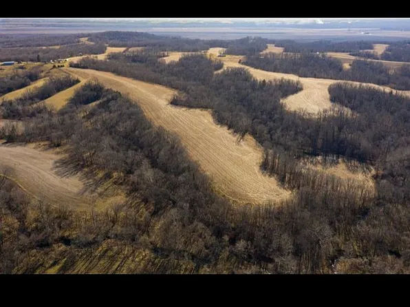 0 County Rd #442, New Franklin, MO 65274