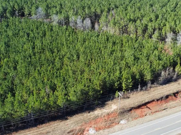 Highway 31, Greenville, AL 36037