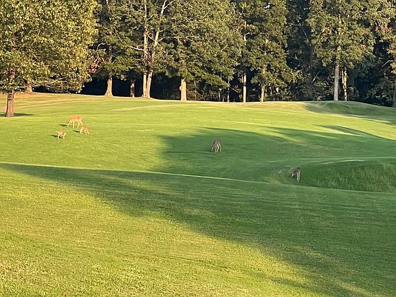 35th image of this home