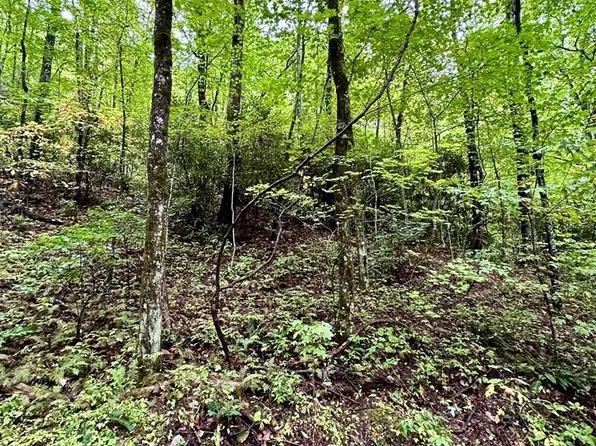 121 Granny Squirrel Dr, Andrews, NC 28901