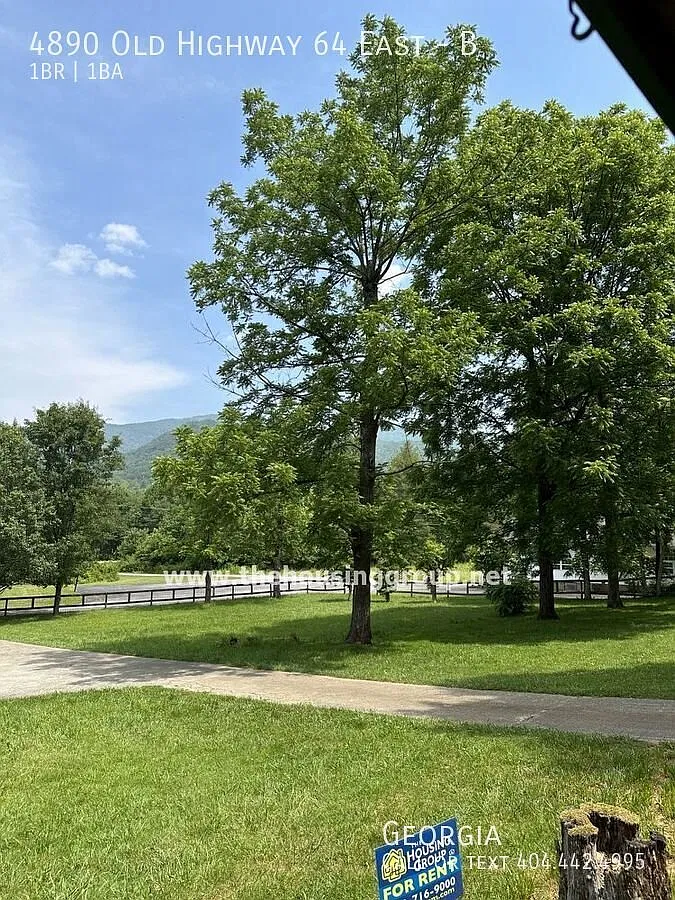 Ready Now !! Hayesville One bedroom Cottage — Photo 3