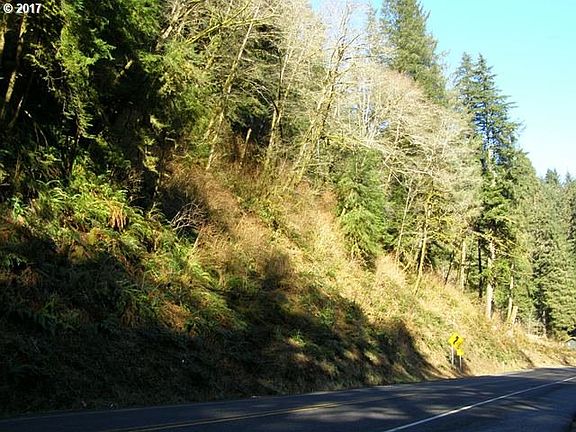 2nd image of Wilson River Hwy