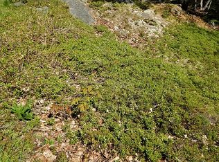 17 Black Dog Rd, Bar Harbor, ME 04609