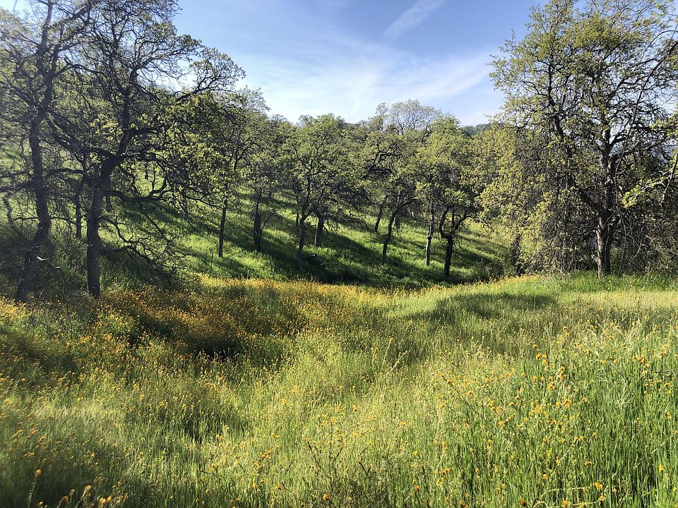 144 Columbine Ln, Squaw Valley, CA 93675 MLS 223661 Zillow