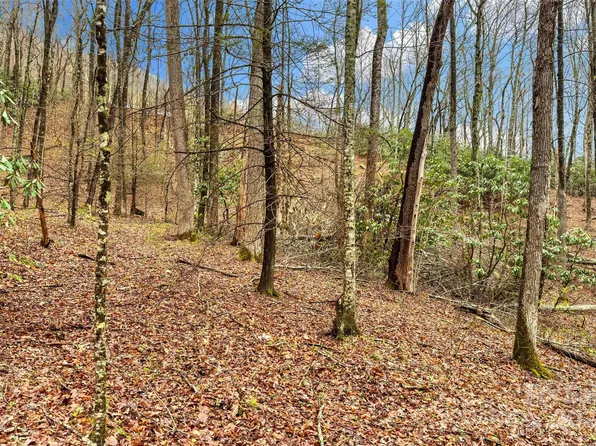 Hemlock Cir #131, Black Mountain, NC 28711
