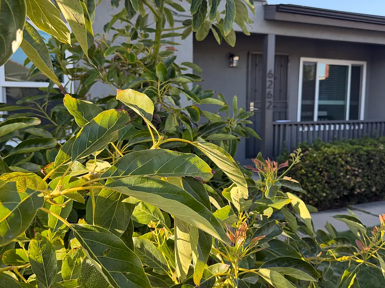 6262 Stewart St — Photo 31