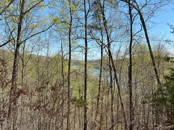 Ridgeland Dr, Sharps Chapel, TN 37866