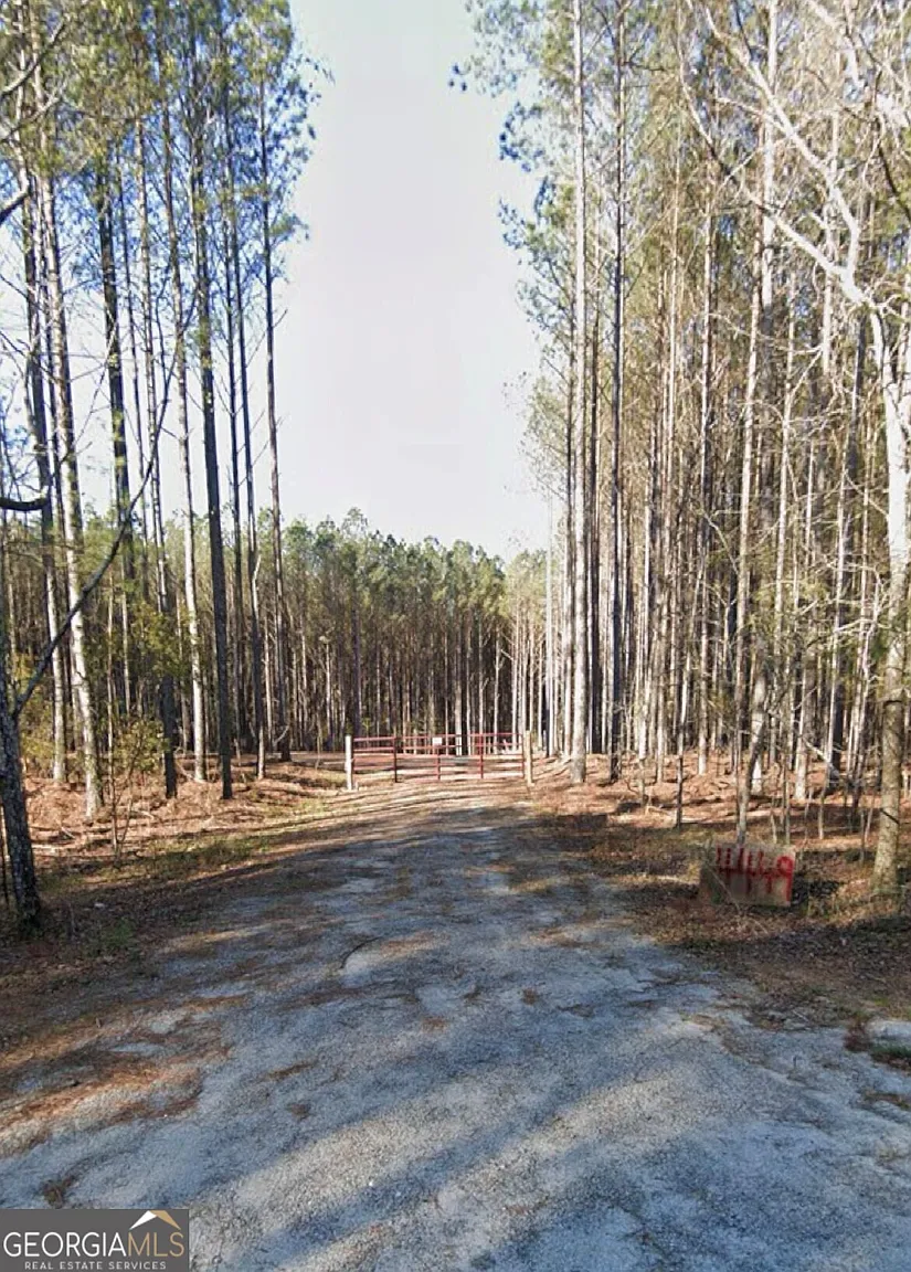 4449 Forrest Rd photo 1