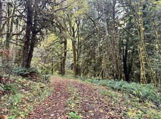 0 Pebble Creek Rd, Vernonia, OR 97064