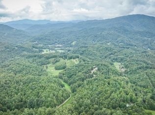 Horseshoe Ln, Roan Mountain, TN 37687